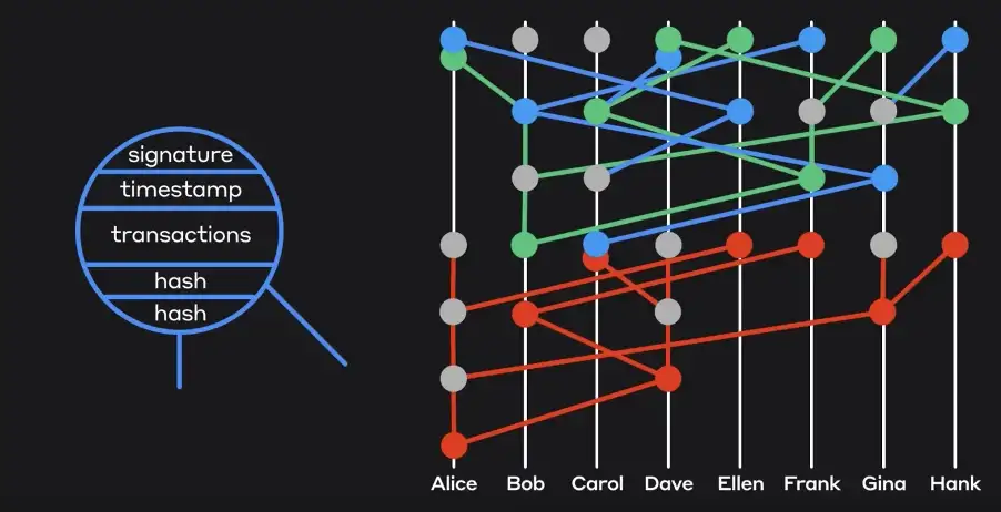 Hedera`s Hashgraph