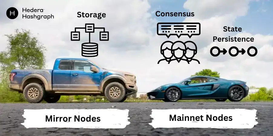 Hedera`s validator split between Mirror Nodes and Mainnet Nodes